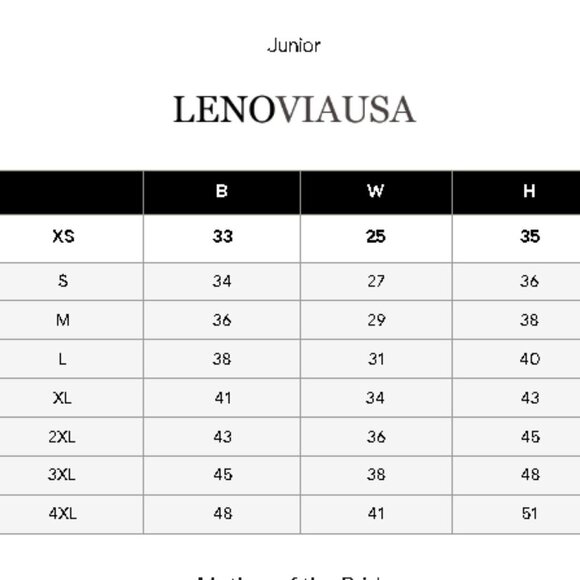 NWT Lenovia 5201 Bridesmaid Dress Chiffon Silver Size M - Picture 4 of 7